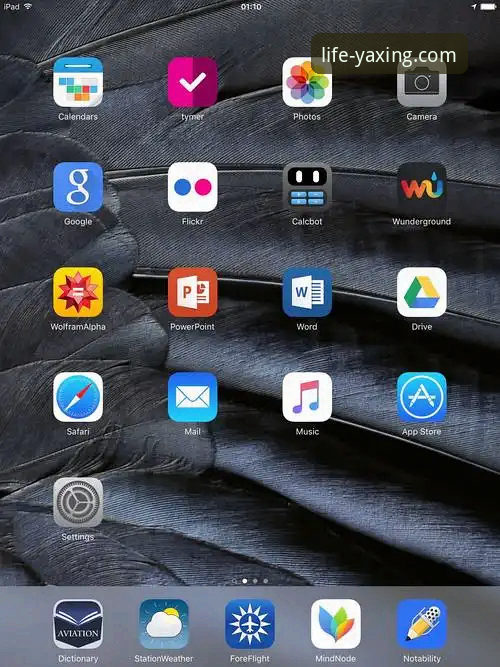 亚星官方平台iOS版全面解析：从下载到精通，资深用户深度分享