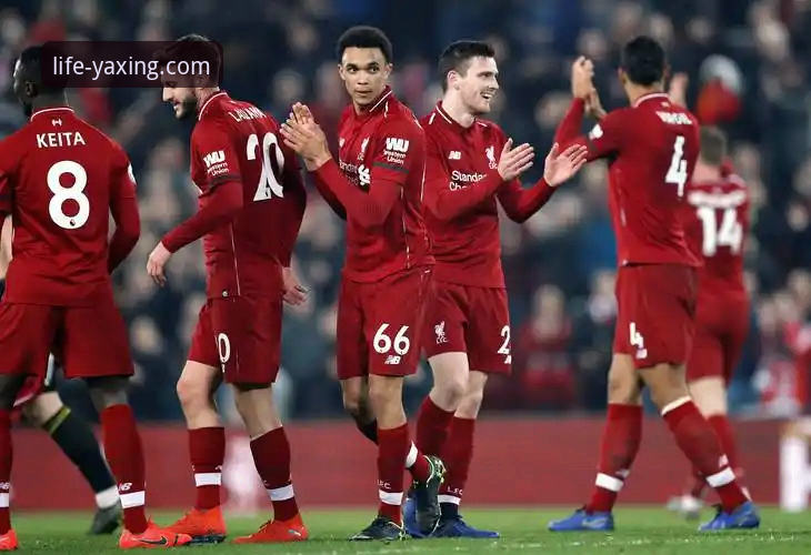 亚星官网客服在线咨询 揭秘狼队vs利物浦:一场足总杯背后的战术革新与平台体验升级